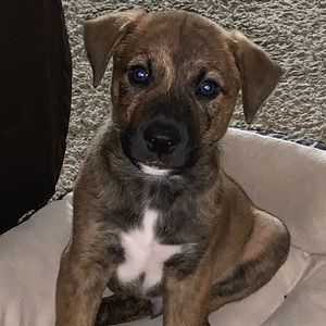 Meet your Posher, Deborah